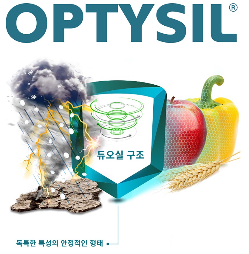 optysil intermag